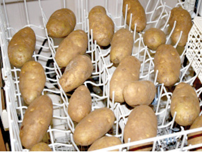 GENIAAL: Dit is waarom je aardappelen in vaatwasser moet doen