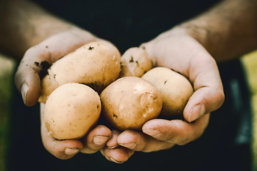 aardappelen schillen