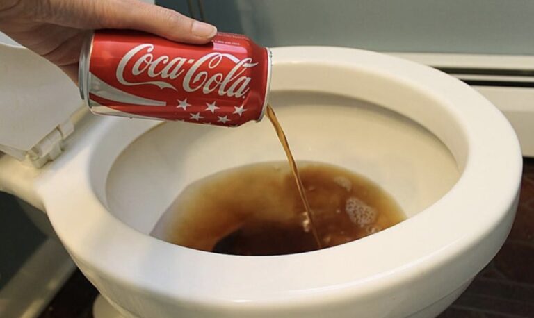 Dit is waarom je elk weekend cola door je wc moet spoelen. De reden? Dit had ik nooit verwacht!