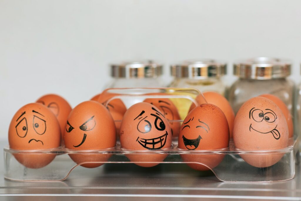 Orange and white egg on stainless steel rack