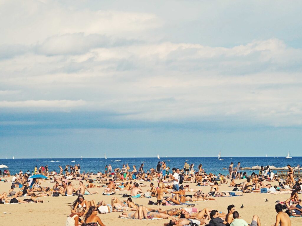 People on brown sand beach